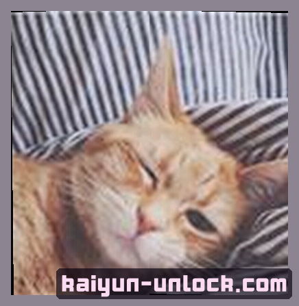 User
